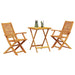 Set Bistro Pliabil 3 pcs Maro Lemn Solid de Acacia - WALTI WALTI
