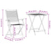 Set Bistro Pliabil 3 pcs Maro Lemn Solid de Acacia - WALTI WALTI