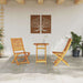 Set Bistro Pliabil Manual 3 pcs Acacia natural 60 x 60 x 75 cm - WALTI WALTI