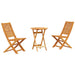 Set Bistro Pliabil Manual 3 pcs Acacia natural 60 x 60 x 75 cm - WALTI WALTI