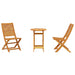Set Bistro Pliabil Manual 3 pcs Acacia natural 60 x 60 x 75 cm - WALTI WALTI