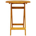 Set Bistro Pliabil Manual 3 pcs Acacia natural 60 x 60 x 75 cm - WALTI WALTI