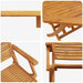 Set Bistro Pliabil 3 pcs Maro Lemn Solid de Acacia - WALTI WALTI