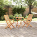 Set Bistro Pliabil 3 pcs Maro Lemn Solid de Acacia - WALTI WALTI