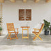 Set Bistro Pliabil 3 pcs Maro Lemn Solid de Acacia - WALTI WALTI