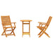 Set Bistro Pliabil 3 pcs Maro Lemn Solid de Acacia - WALTI WALTI