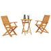 Set Bistro Pliabil 3 pcs Maro Lemn Solid de Acacia - WALTI WALTI