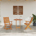Set Bistro Pliabil 3 pcs Maro Lemn Solid de Acacia - WALTI WALTI