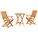 Set Bistro Pliabil 3 pcs Maro Lemn Solid de Acacia - WALTI WALTI