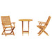 Set Bistro Pliabil 3 pcs Maro Lemn Solid de Acacia - WALTI WALTI