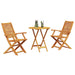 Set Bistro Pliabil 3 pcs Maro Lemn Solid de Acacia - WALTI WALTI