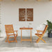 Set Bistro Pliabil 3 pcs Maro Lemn Solid de Acacia - WALTI WALTI