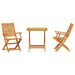 Set Bistro Pliabil 3 pcs Maro Lemn Solid de Acacia - WALTI WALTI