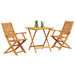 Set Bistro Pliabil 3 pcs Maro Lemn Solid de Acacia - WALTI WALTI