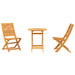 Set de Mobilier de Exterior Manual 3 pcs Maro 70 x 70 x 75 cm - WALTI WALTI