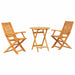 Set Bistro Pliabil 3 pcs Maro Lemn Solid de Acacia - WALTI WALTI