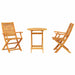 Set Bistro Pliabil 3 pcs Maro Lemn Solid de Acacia - WALTI WALTI