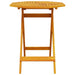 Set Bistro Pliabil 3 pcs Maro Lemn Solid de Acacia - WALTI WALTI