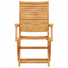 Set Bistro Pliabil 3 pcs Maro Lemn Solid de Acacia - WALTI WALTI