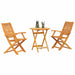 Set Bistro Pliabil 3 pcs Maro Lemn Solid de Acacia - WALTI WALTI