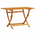 Set de masă pentru grădină 5 pcs Maro Lemn Solid de Acacia - WALTI WALTI