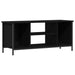 Cabinet TV Stejar Negru 102 x 35 x 45 cm Lemn compozit - WALTI WALTI