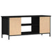 Cabinet TV Stejar Negru 102 x 35 x 45 cm Lemn compozit - WALTI WALTI