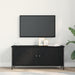 Cabinet TV Stejar Negru 100 x 35 x 45 cm Lemn compozit - WALTI WALTI