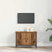 Cabinet TV Lemn Vechi 60 x 35 x 45 cm Lemn compozit - WALTI WALTI