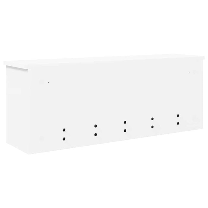 Răcător de paltoane montat pe perete cu ușă Alb 80 x 20 x 30 cm - WALTI WALTI
