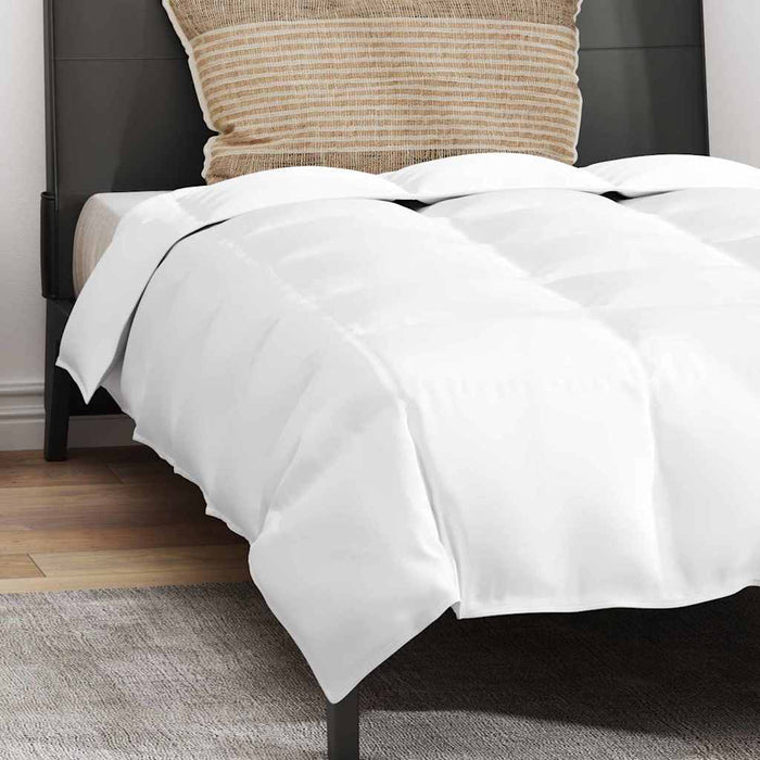 Set de plapumă cu pernă 2 pcs Alb 140 x 220 cm Jos - WALTI WALTI