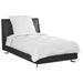 Duvet pentru Toate Sezoanele cu pernă 2 pcs Alb Microfibră - WALTI WALTI