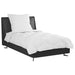 Set de Pături cu pernă 2 pcs Alb Microfibră - WALTI WALTI