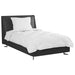 Set de Pături cu pernă 2 pcs Alb Microfibră - WALTI WALTI