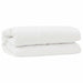 Set de Pături cu pernă 2 pcs Alb Microfibră - WALTI WALTI