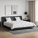 Duvet cu perne cu pernă 3 pcs Alb Microfibră - WALTI WALTI