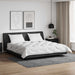 Duvet cu perne cu pernă 3 pcs Alb Microfibră - WALTI WALTI
