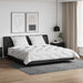 Duvet cu perne cu pernă 3 pcs Alb Microfibră - WALTI WALTI