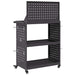Cărucior pentru unelte cu raft cu roata Negru 65 x 35 x 111 cm - WALTI WALTI