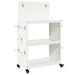 Cărucior pentru unelte cu raft cu roata Alb 65 x 35 x 111 cm - WALTI WALTI
