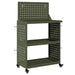 Cărucior pentru unelte cu raft Olivengrønn 65 x 35 x 111 cm - WALTI WALTI