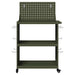 Cărucior pentru unelte cu raft Olivengrønn 65 x 35 x 111 cm - WALTI WALTI