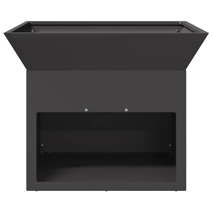 Cuptor de foc Negru 50 x 50 x 40 cm Oțel WALTI