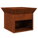 Cuptor de foc Ruginit 50 x 50 x 40 cm - WALTI WALTI
