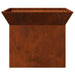 Cuptor de foc Ruginit 50 x 50 x 40 cm - WALTI WALTI