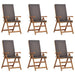 Scaune de grădină reclinabile cu perne, 6 piese din lemn de teak solid - WALTI WALTI