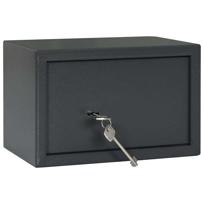 Seif cu blocare Gri închis 31 x 20 x 20 cm Oțel - WALTI WALTI
