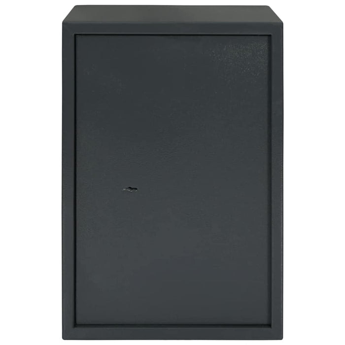 Seif cu blocare Gri închis 35 x 31 x 50 cm Oțel - WALTI WALTI