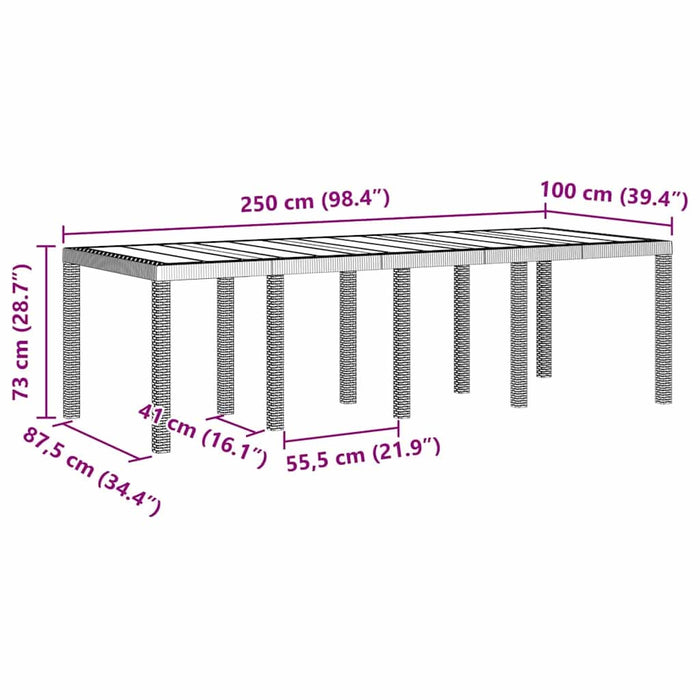 Masă de Grădină Gri deschis 250 x 100 x 73 cm poliratan WALTI
