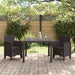 Set de Masă pentru Grădină 3 pcs Maro 100 x 100 x 73 cm - WALTI WALTI